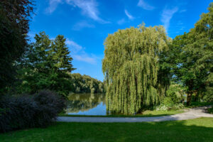 Orankesee