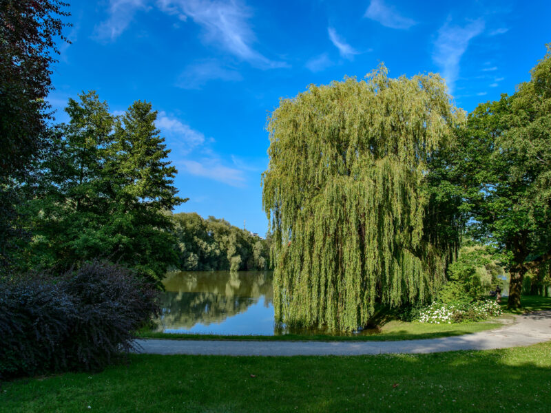 Orankesee